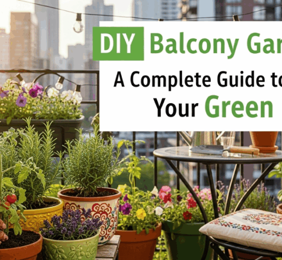 DIY Balcony Gardening: A Complete Guide to Growing Your Green Haven