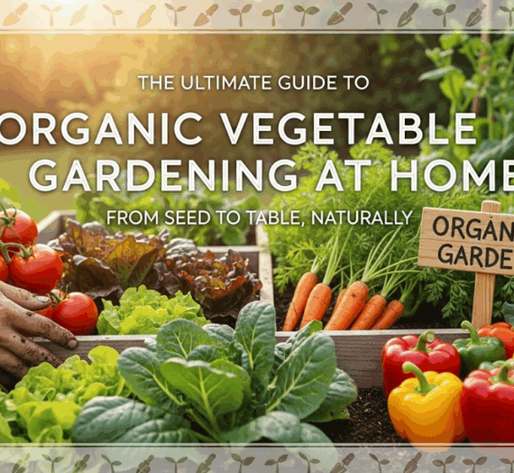 The Ultimate Guide to Organic Vegetable Gardening at Home